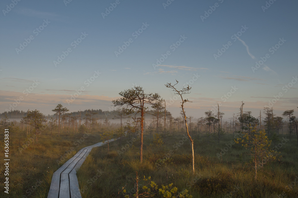 Obraz premium Sunrise Bog
