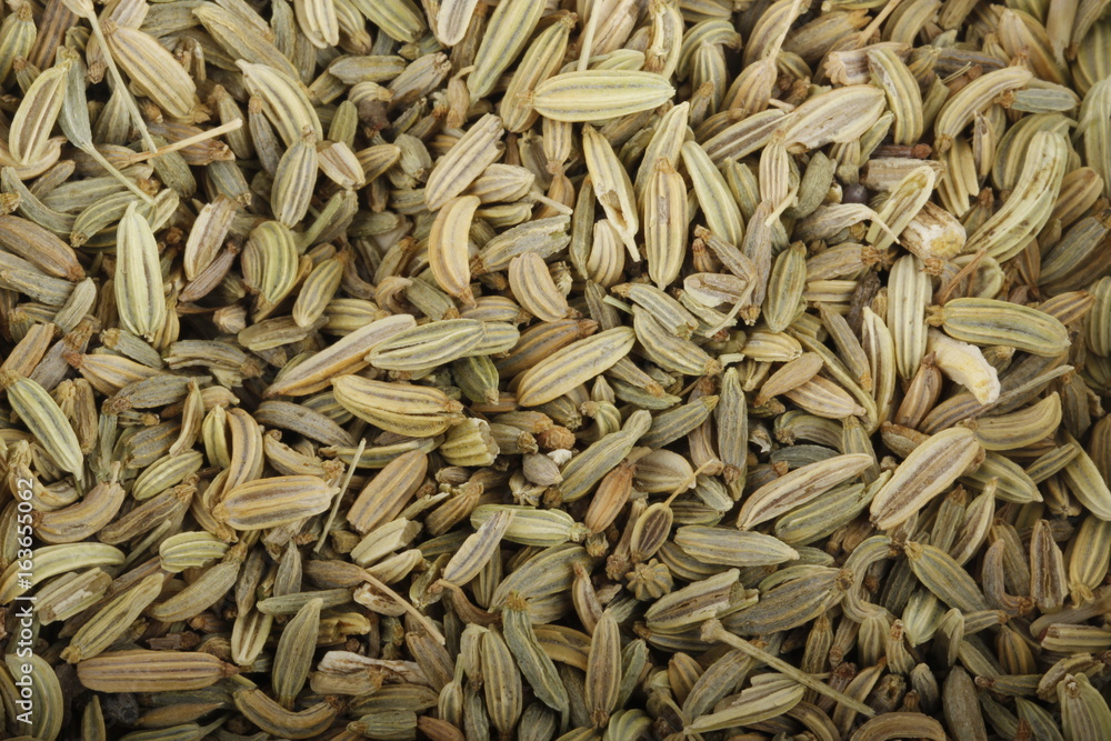 seeds of fennel background