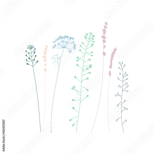 Meadow grasses  herbs and flowers silhouettes.