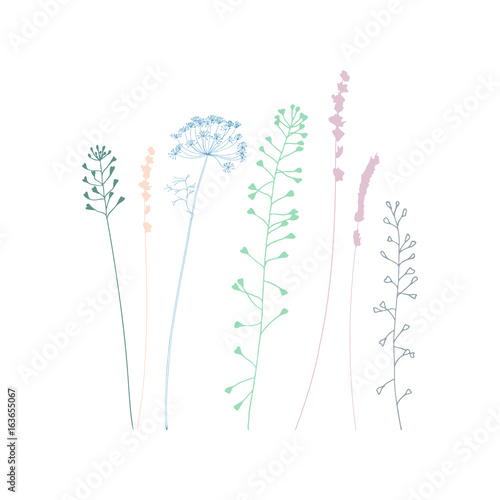 Meadow grasses, herbs and flowers silhouettes.