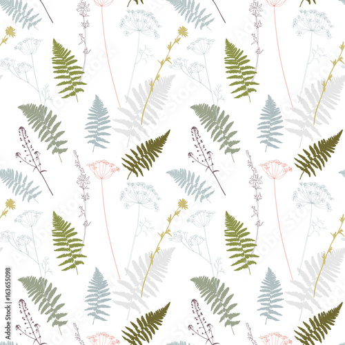 Vector floral seamless pattern with fern leaves, dill, chicory flowers and sh...