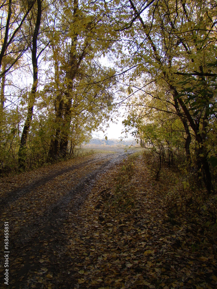 autumn in russia