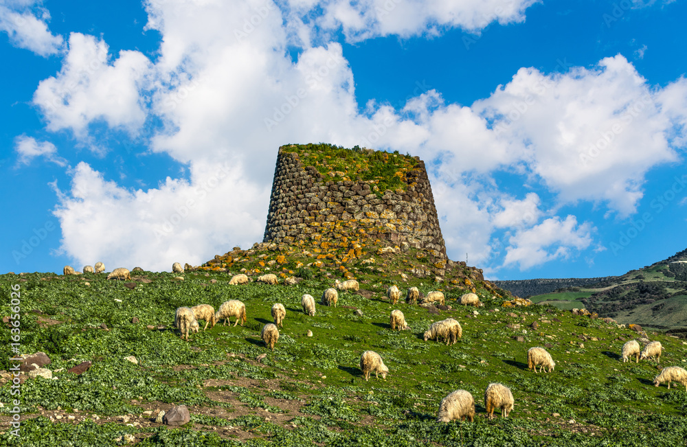 Naklejka premium Stado owiec przy nuraghe na Sardynii