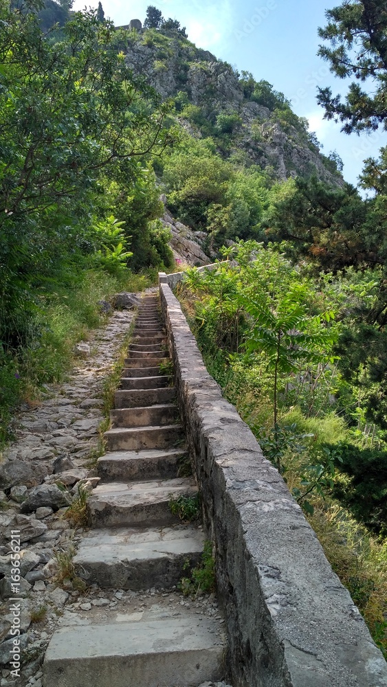 Summer Vacation in Montenegro