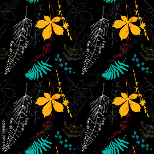 Vector floral seamless pattern  with  fireweed, chicory, dill flowers and fer...