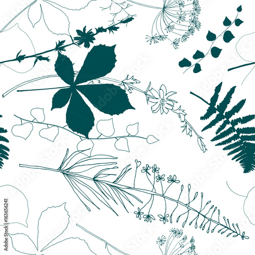 Vector floral seamless pattern  with  fireweed, chicory, dill flowers and fern, ivy and chestnut tree leaves.