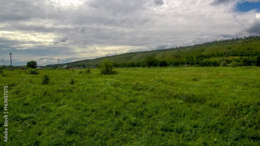 flying over the green meadow. flying over the green meadow.