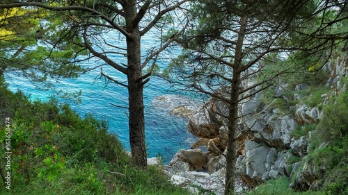 Summer Vacation in Montenegro