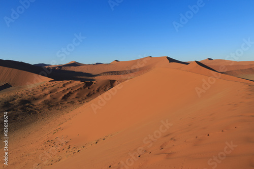 Sand dune in desert during sunrise. Sossusvlei, Namib Naukluft National Park, Namibia