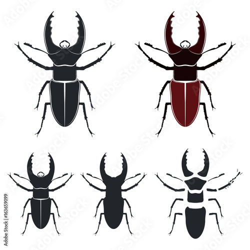 Beetle deer, vector illustration © willi