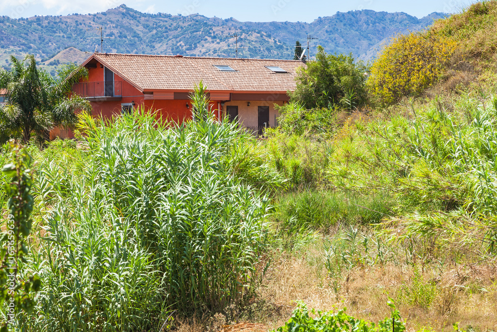 house and overgrown garden in Giardini Naxos town house and overgrown garden in Giardini Naxos town