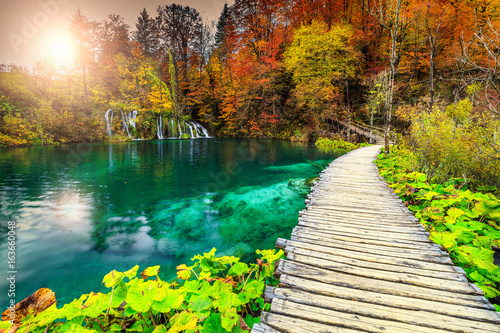 Wonderful tourist pathway in colorful autumn forest, Plitvice lakes, Croatia
