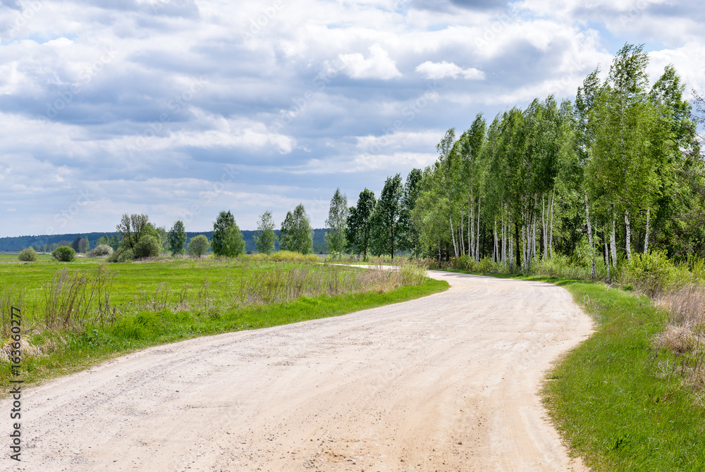 a ground winding road between fields and trees under Cumulus clouds in summer a ground winding road between fields and trees under Cumulus clouds in summer