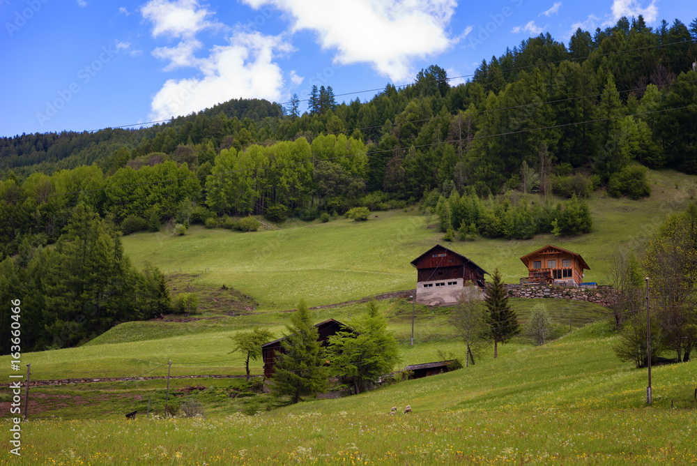 Idyllic landscape in the Alps in springtime with traditional mountain chalet and fresh green mountain pastures with blooming flowers on a beautiful sunny day. Austria, Europe.