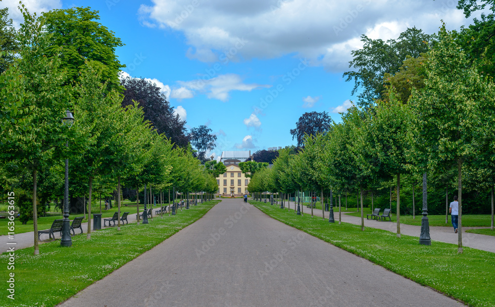 Tree-lined avenue leading to a distant building Tree-lined avenue leading to a distant building