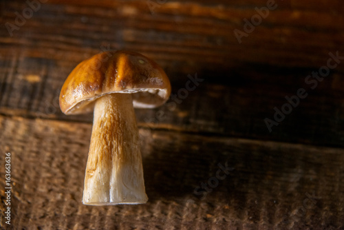 Composition of porcini on wooden background. White edible wild mushrooms. Copy space for your text photo