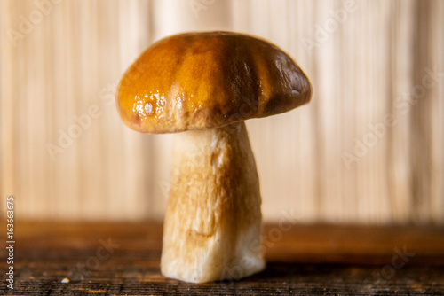 Composition of porcini on wooden background. White edible wild mushrooms. Copy space for your text photo