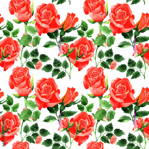 Wildflower roses flower pattern in a watercolor style. Full name of the plant  roses. Aquarelle wild flower for background  texture  wrapper pattern  frame or border.