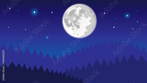 night forest background