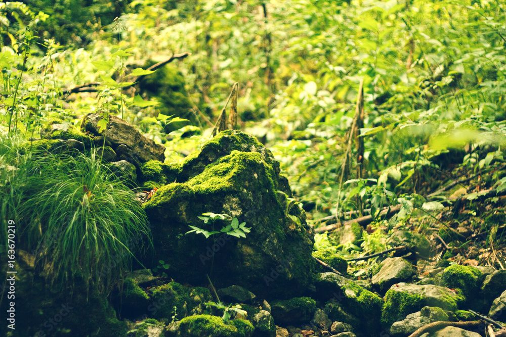 Greeny stones Greeny stones