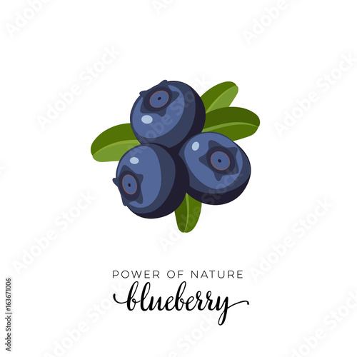 Blue blueberry berry flat icon with inscription colorful vector illustration of eco food isolated on white.