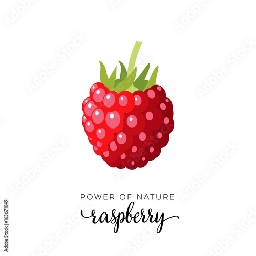 Red raspberry berry flat icon with inscription colorful vector illustration of eco food isolated on white.