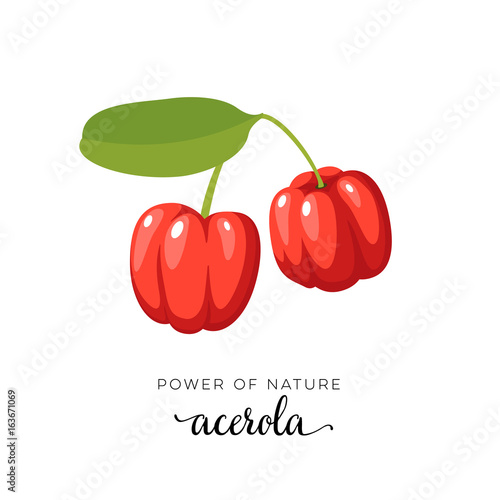 Foto Red acerola berry flat icon with inscription colorful vector illustration of eco food isolated on white