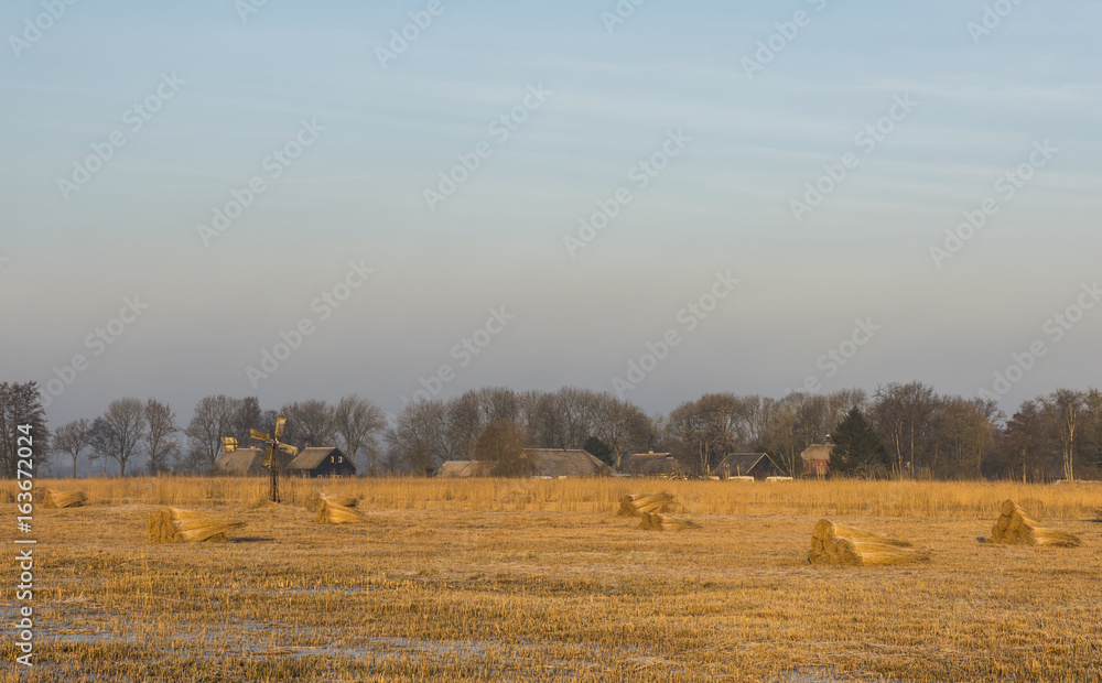 Fototapeta premium Cane Cultivation Houses Giethoorn