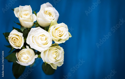 Valentine's background. Floral bouquet made of white roses on blue background. Flat lay, top view. Valentines Day background.