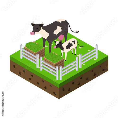 farm isometric icon