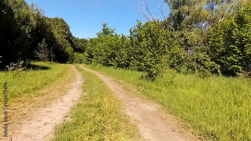 Driving a car in the wild. Point of view camera filming.