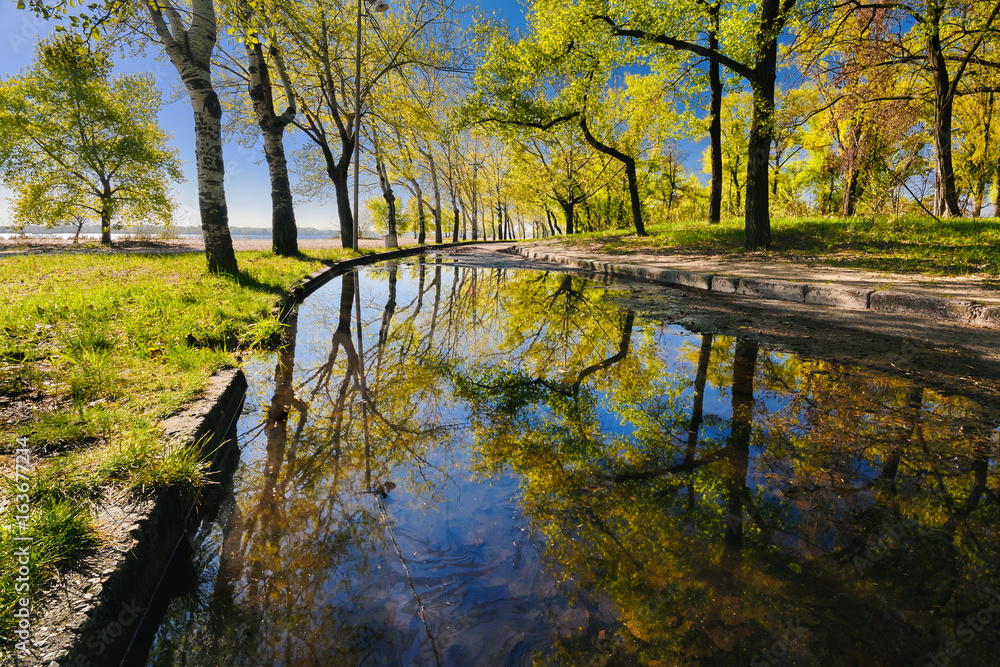 Beautiful reflection of trees in a puddle in a city park in the early morning I