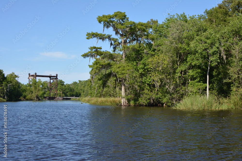 Fototapeta premium Louisiana Bayou