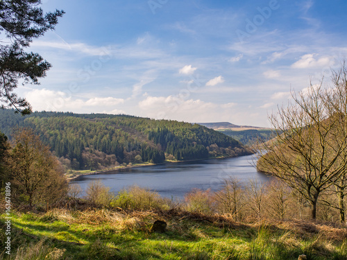 Ladybower Resrvoir with Sunlit Grass and Tree Covered Slope in Distance