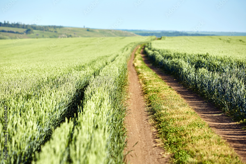Obraz premium Road in the green field in the countryside with blue sky.