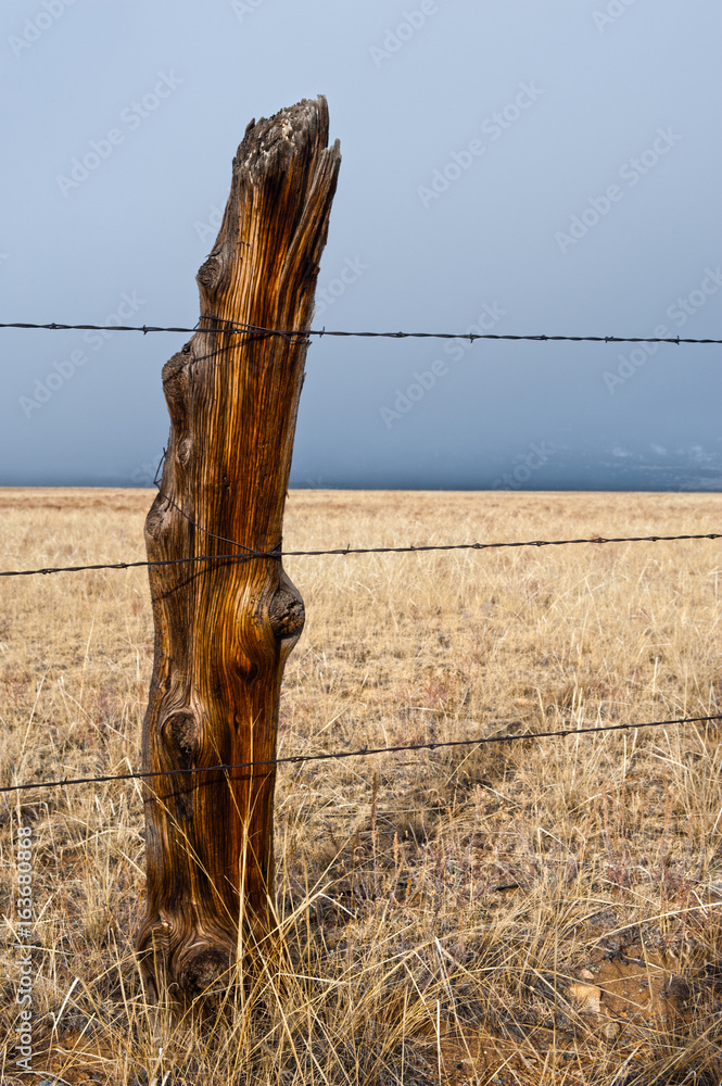 Hundred Year Old Cedar Fence Post and Shadow