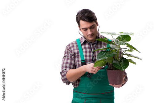 Young man gardener isolated on white