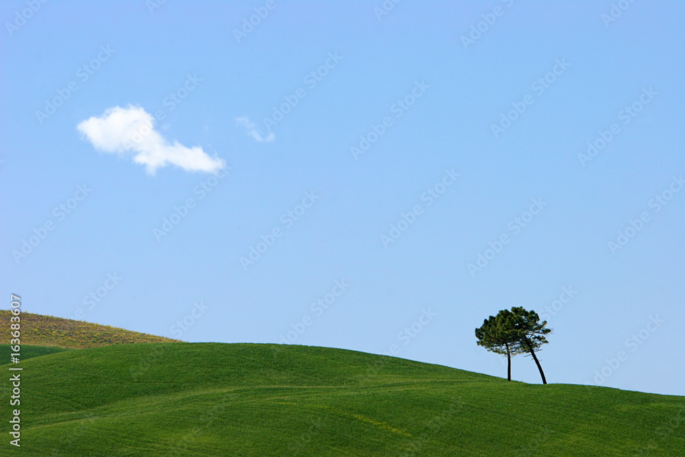 Obraz premium ZugeNeigt