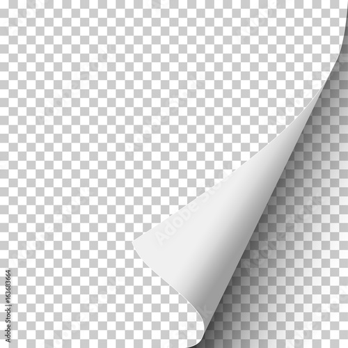 Sheet of transparent paper with curled corner and soft shadow. Element with space for text and ad. Template paper design. Vector illustration.