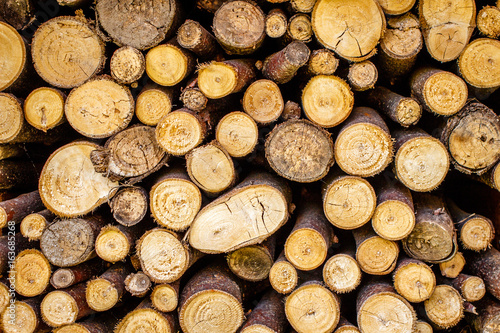 stapled firewood