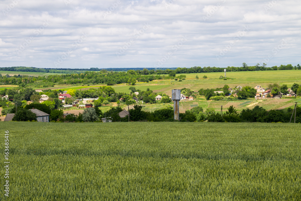 View on the village in Ukraine on summer