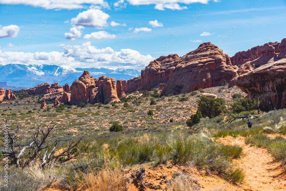 Fototapeta premium Arches National Park Utah Rock Formations 