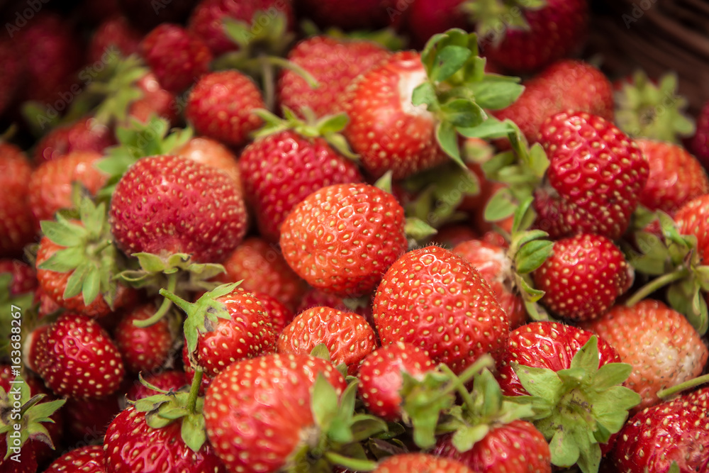 fresh ripe strawberries crop fresh ripe strawberries crop