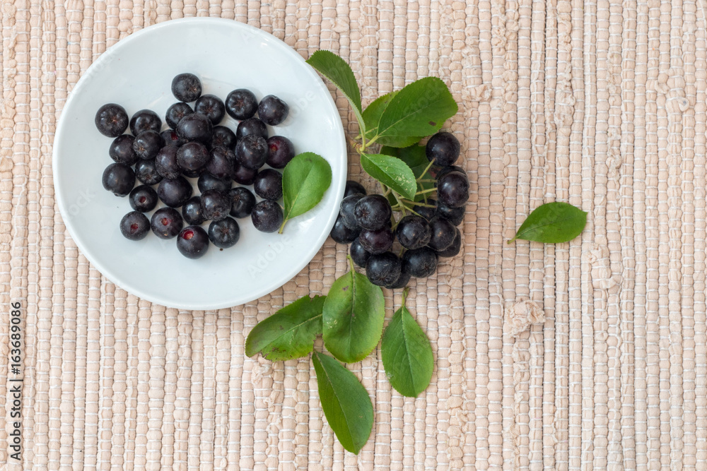 Close up of Aronia melanocarpa berries (black chokeberry) with leaves in white dish on textile background Close up of Aronia melanocarpa berries (black chokeberry) with leaves in white dish on textile background