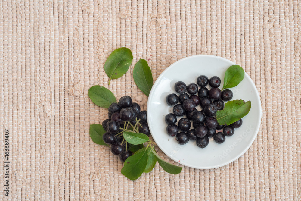 Close up of Aronia melanocarpa berries (black chokeberry) with leaves in white dish on textile background Close up of Aronia melanocarpa berries (black chokeberry) with leaves in white dish on textile background