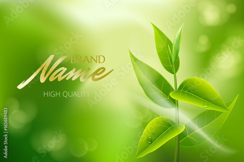 Advertising poster for tea brand for catalog, magazine. Vector design of tea package. Vector illustration with isolated objects
