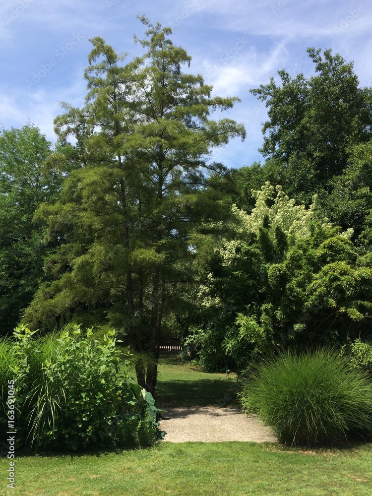 Obraz premium Arbres jardins de martels