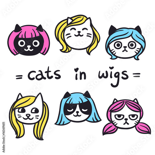 Funny cats in wigs