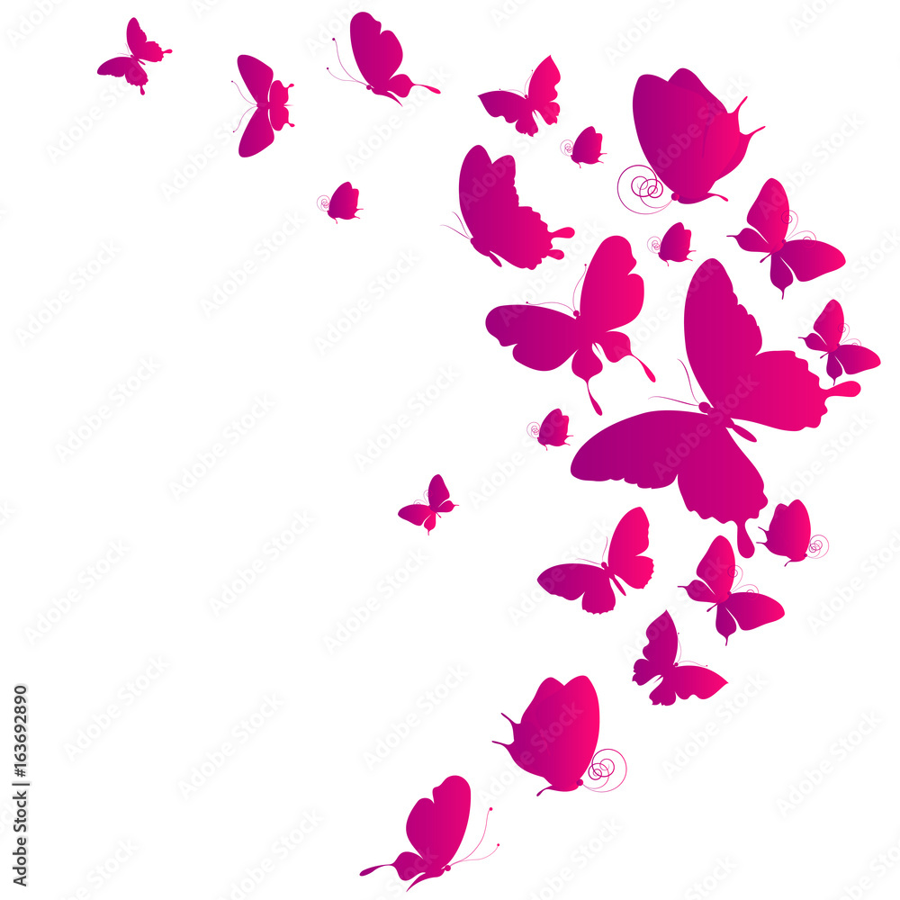 Fototapeta premium beautiful pink butterflies, isolated on a white