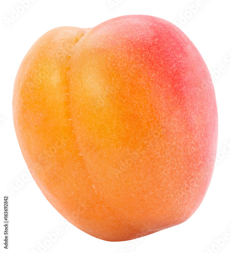 apricot isolated on a white background